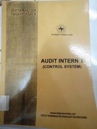 Audit Intern I